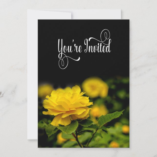 Invitation, Yellow Rose in Garden Isolated/Black Invitation (Front)