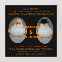 Zebra Finch avec Mariage de soumission de mariage