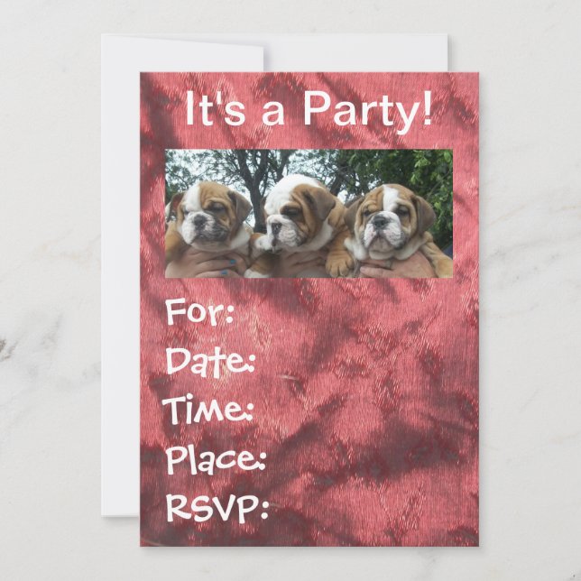 Invitations à la fête des chiots de Bulldog en ang (Devant)