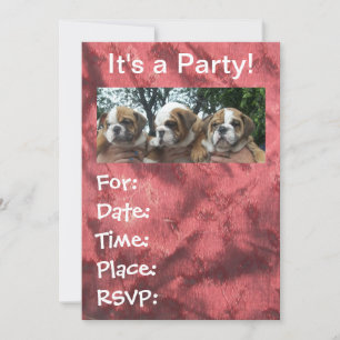 Invitations à la fête des chiots de Bulldog en ang
