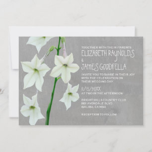 Invitations au mariage de Jasmine