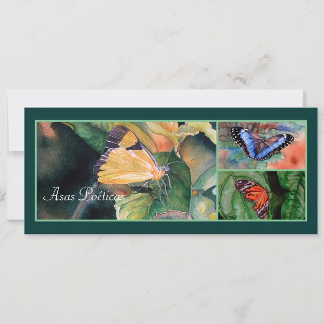 Invitations brésiliennes de papillons (Devant)