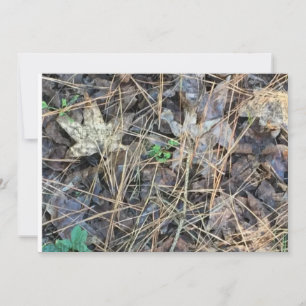 Invitations Camo Blank, Camouflage