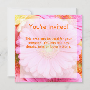 Invitations Daisy - Gerber Daisy rose