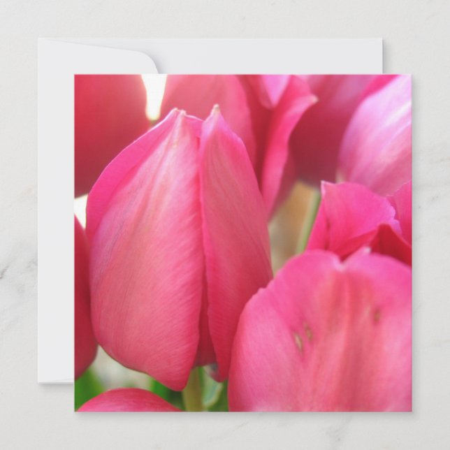 Invitations d'ampoules de tulipe (Devant)