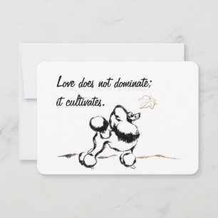 Invitations de canicules