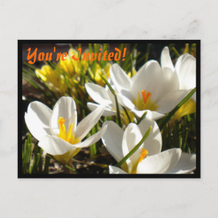 Invitations de cartes postales Spring Crocus