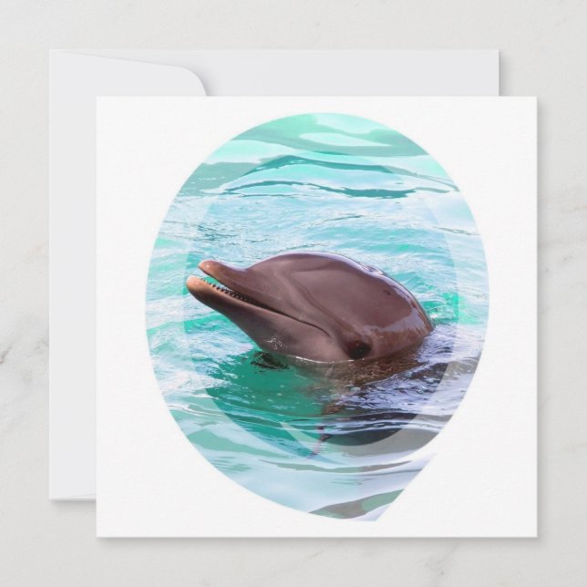Invitations de conception de dauphins (Devant)