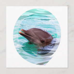 Invitations de conception de dauphins