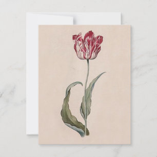 Invitations de Judith Leyster Tulip