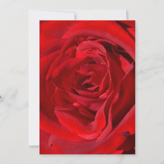Invitations de la Rose rouge vive (Devant)