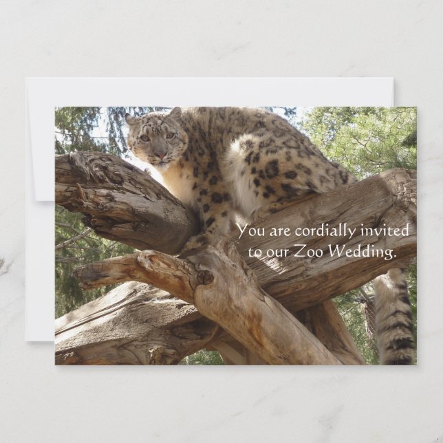Invitations de mariage de zoo de léopard de neige (Devant)