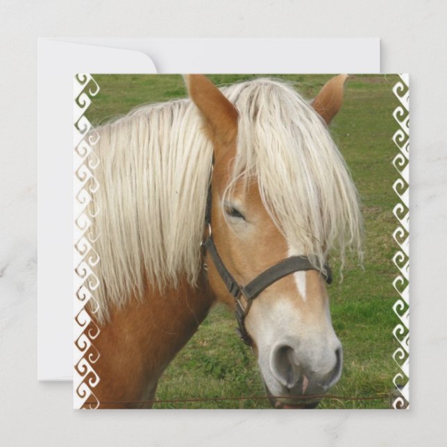 Invitations de poney de palomino (Devant)