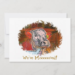 INVITATIONS DE VACHES