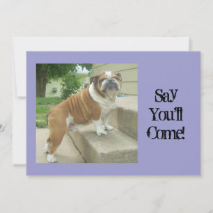 Invitations du Bulldog Party anglais