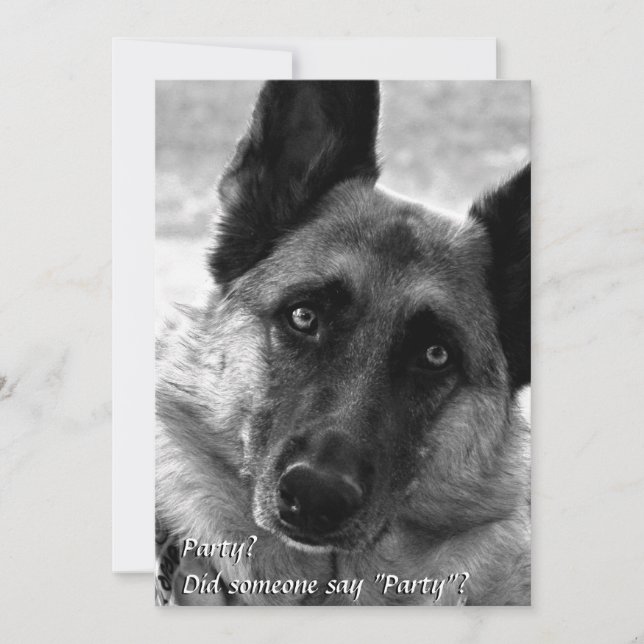 Invitations du Shepherd Party en Allemagne (Devant)