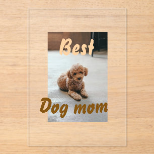 Invitations En Acrylique Meilleure maman de chien marron flaque journee des