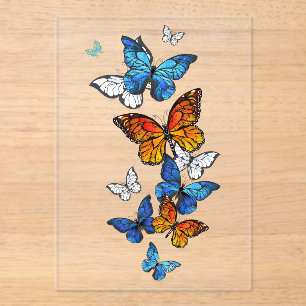 Invitations En Acrylique Papillons volants Morpho et Monarch
