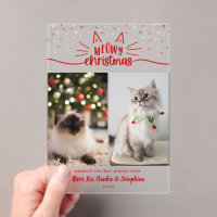 Red White Stars 2 Photos de chat Noël Meowy