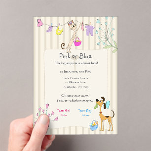 Invitations En Acrylique Rosa ou Bleu Révélation du sexe Chien & Chat