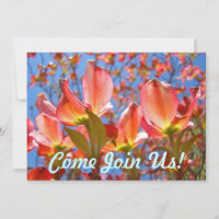 Invitations Fleurs d'Arbre de Cornouiller Rose Ble