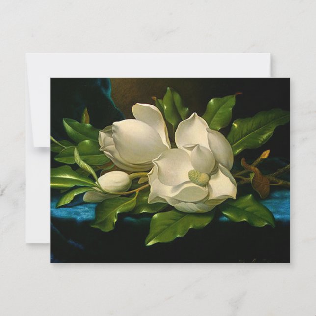Invitations géantes de Magnolias sur un velours bl (Devant)