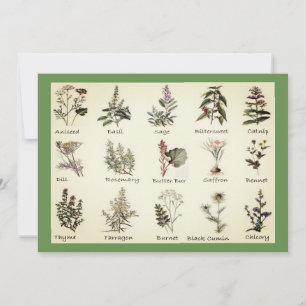 Invitations Herbes et épices
