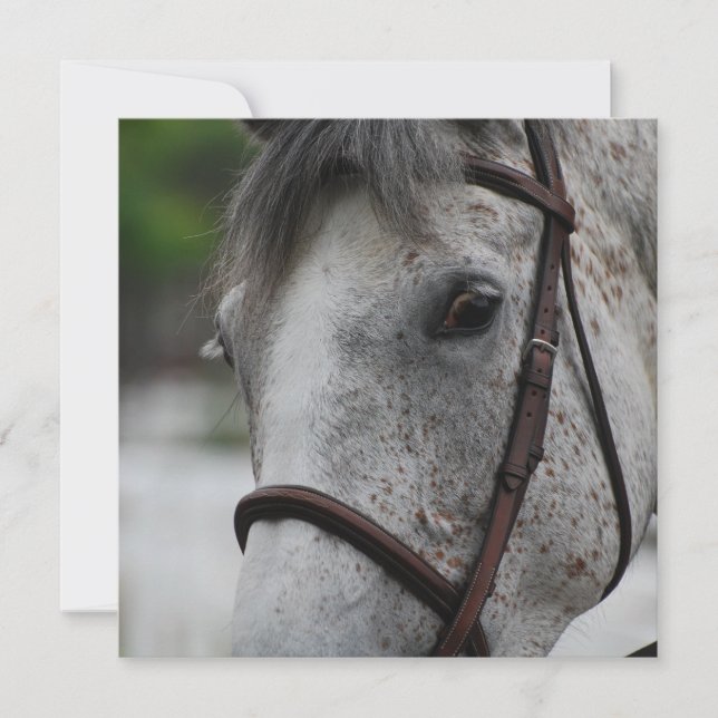 Invitations mignonnes de cheval d'Appaloosa (Devant)