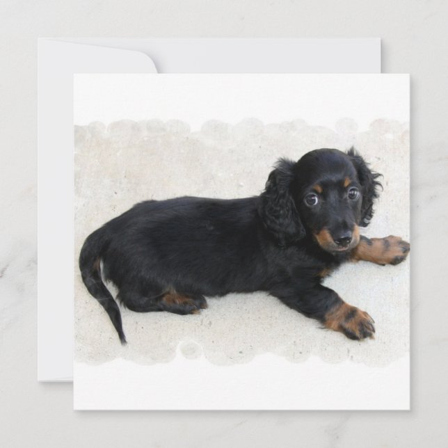 Invitations mignonnes de Daschund (Devant)