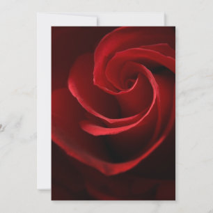 INVITATIONS Red Rose