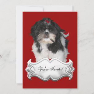 Invitations Shitzu Shih Tzu Chiots Chiens Rouge No