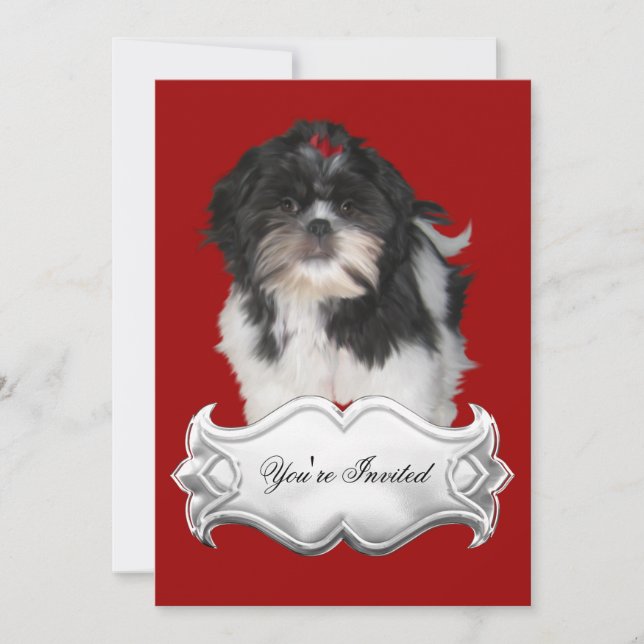 Invitations Shitzu Shih Tzu Puppy Dogs Red Black (Front)
