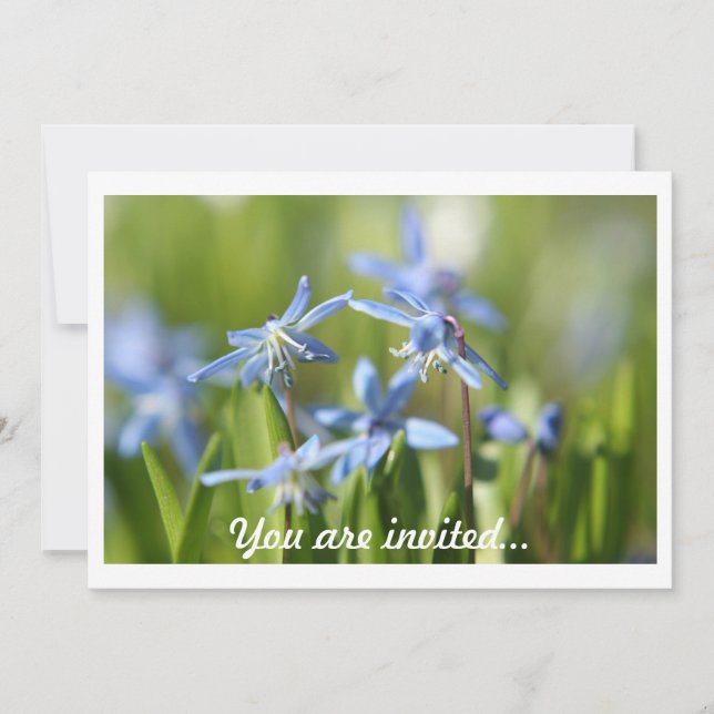 Invitations Spring Bulles (Devant)