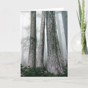 Invoking the Forest Card