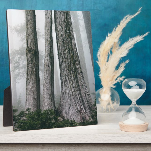 Invoking the Forest Plaque (Side)