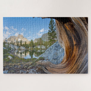Inyo National Forest, California Jigsaw Puzzle