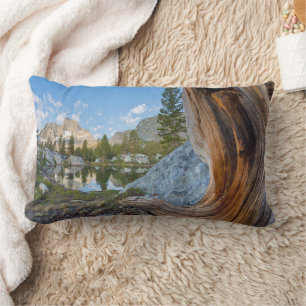 Inyo National Forest, California Lumbar Pillow