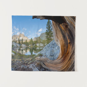 Inyo National Forest, California Tapestry