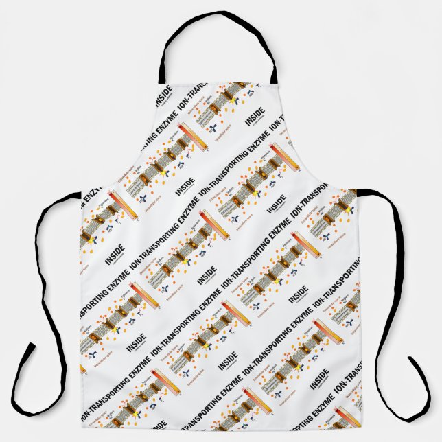 Ion-Transporting Enzyme Inside Active Transport Apron (Front)