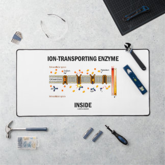 Ion-Transporting Enzyme Inside Active Transport Desk Mat