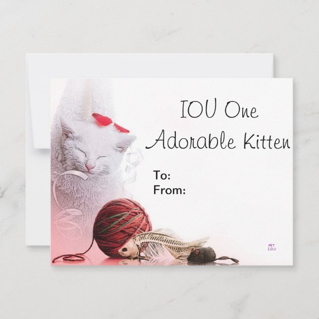 IOU One Adorable Kitten (Front)