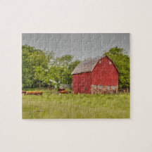 Iowa Barn With Cattle Grazing