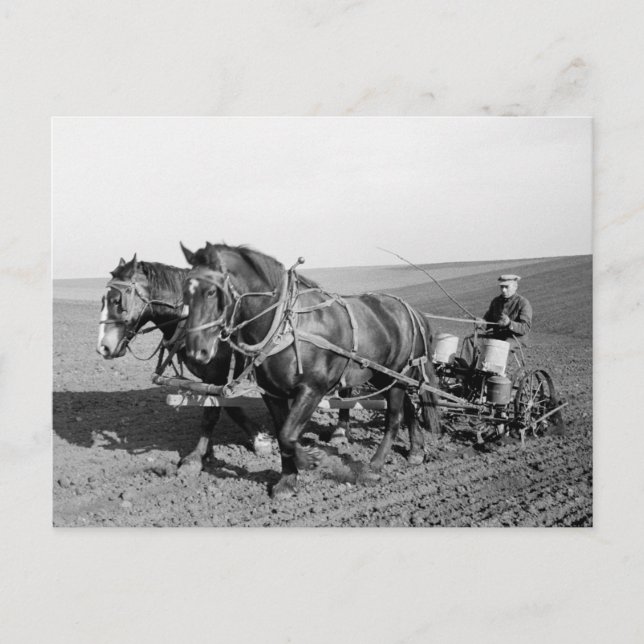 Iowa Corn Planter, 1940s Postcard (Front)