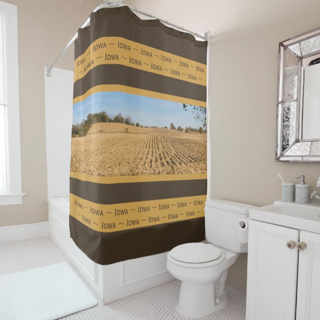 Iowa Cornfield Panoramic Scenery Photography (In Situ)