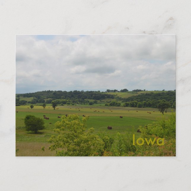 Iowa Landscape Postcard (Front)
