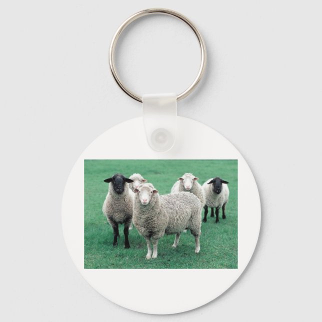 Iowa Sheep Keychain (Front)