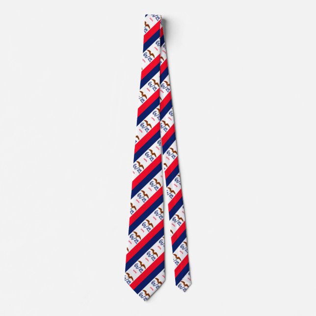 Iowa State Flag Design Tie (Front)