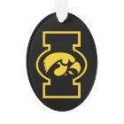 Iowa Tigerhawk| Logotype
