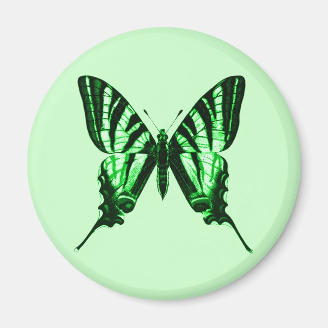 Iphiclides podalirius Magnet (Devant)