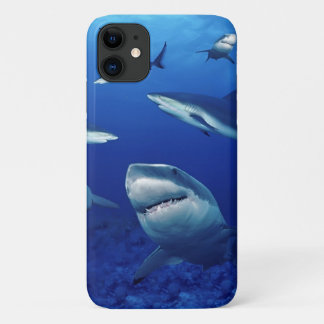 iPhone 11 Case-Sharks Case